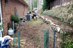 Side Yard Before