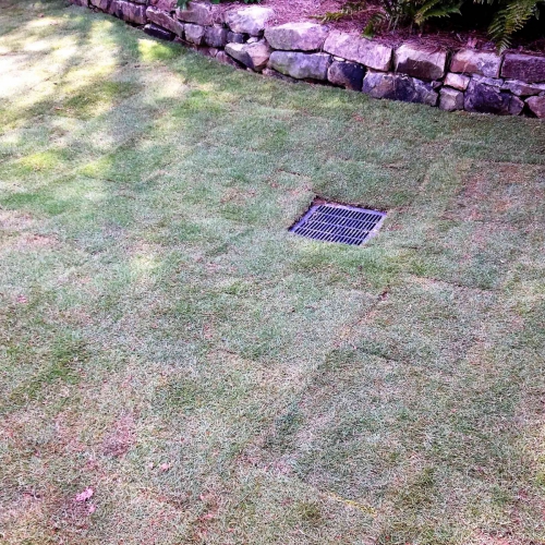 Lawn Drainage 6