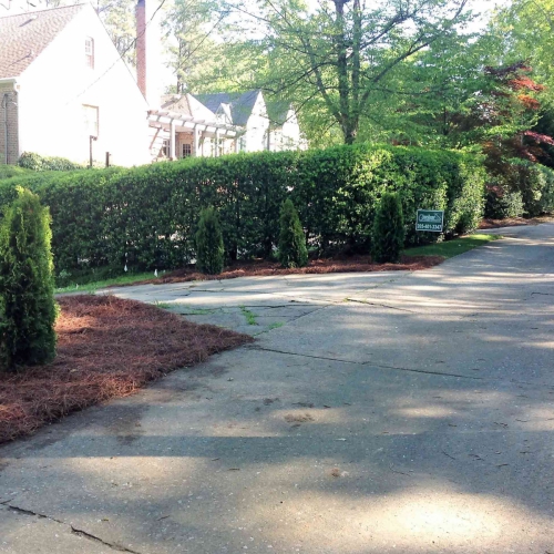 Driveway Landscaping 4