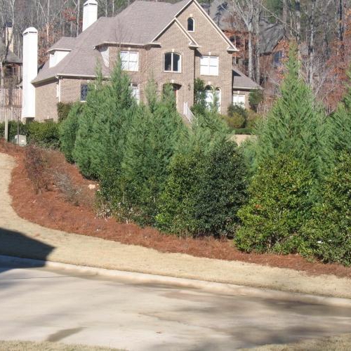 Driveway Lanscaping 2