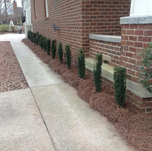 Driveway Landscaping 3