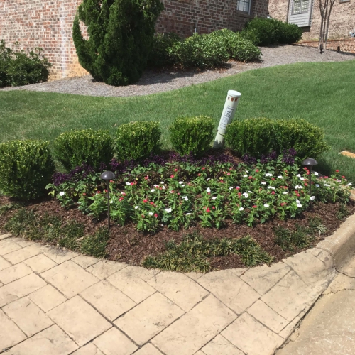 Flower Bed 38