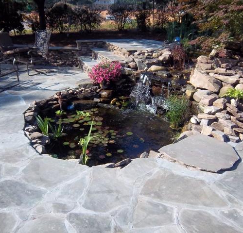 Water Garden 2