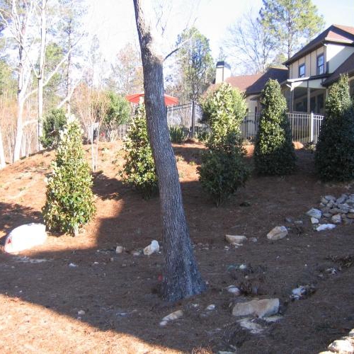 Hillside Landscaping 2