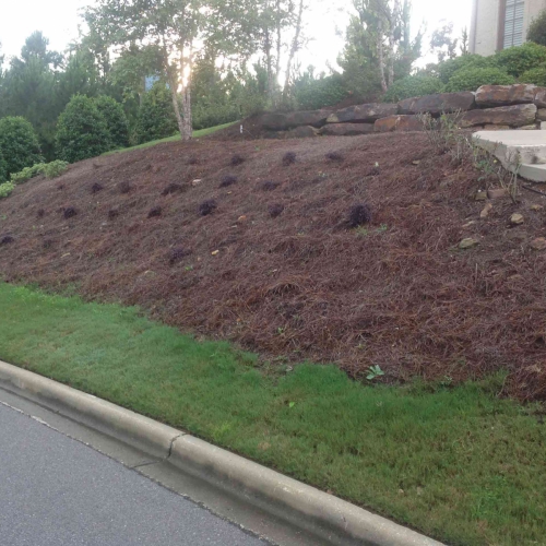 Hillside Landscaping 22