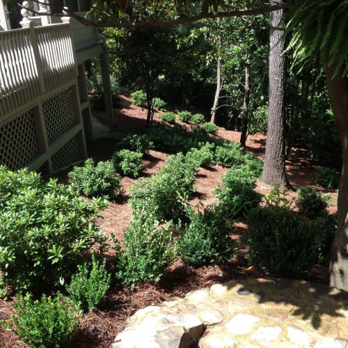 Hillside Landscaping 29