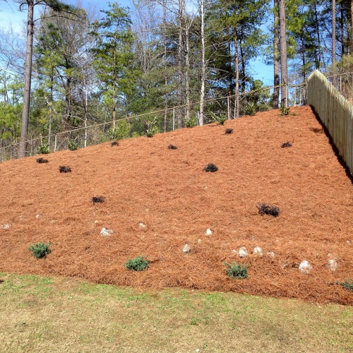 Hillside Landscaping 29_0