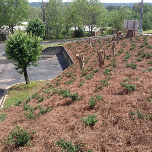 Hillside Landscaping 33