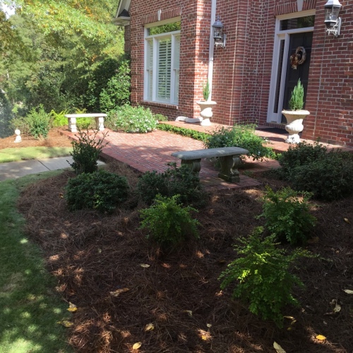 Entrance-Landscaping-17