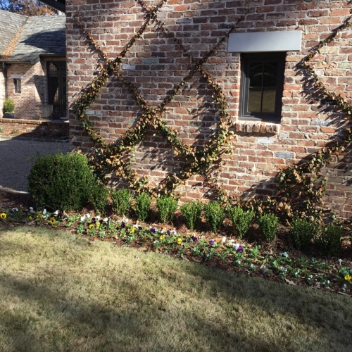 Entrance-Landscaping-20