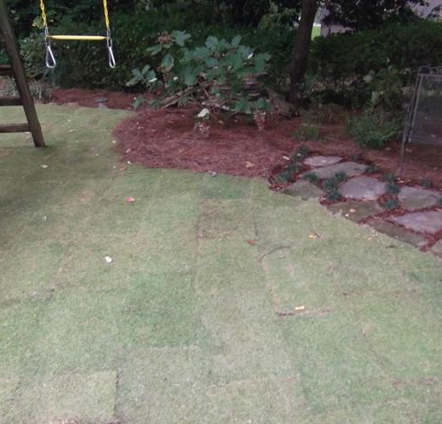 Sodded Lawn 2