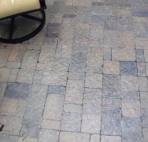 Paver Patio 12