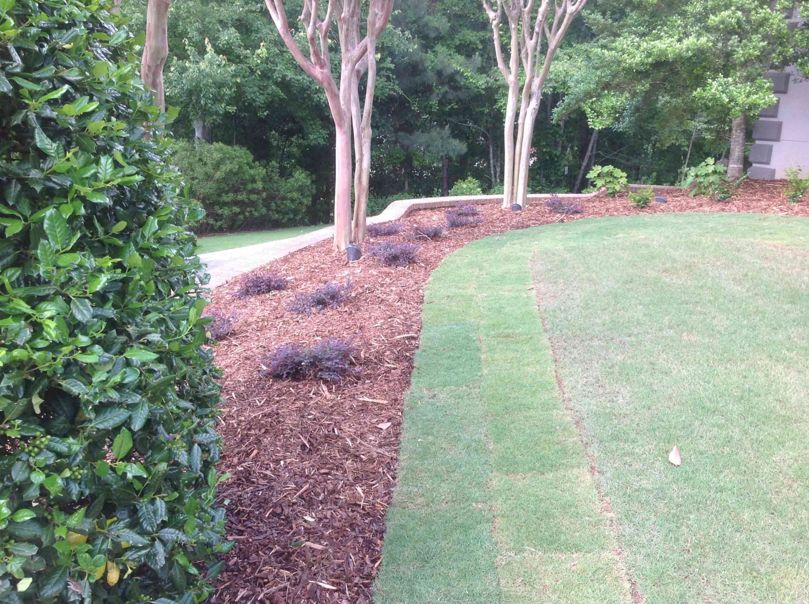 Shrub Bed Islands 