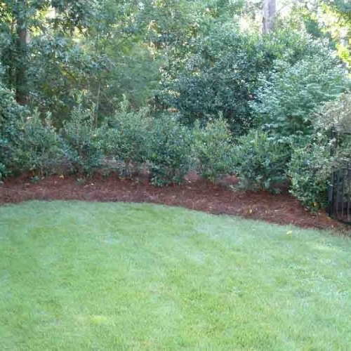 Shrub Bed Island 2