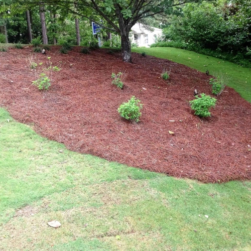 Shrub Bed Island 35