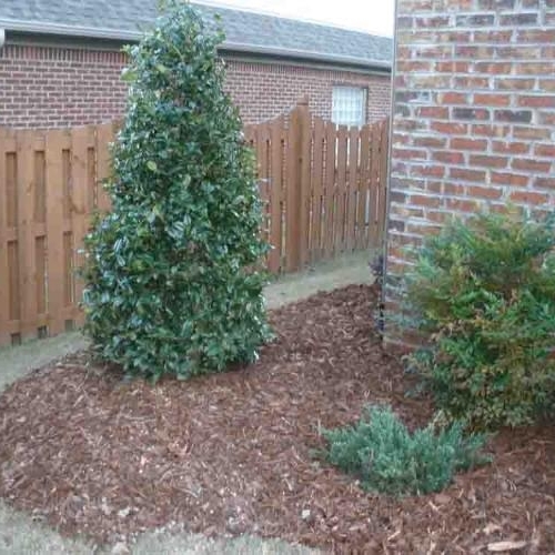 Shrub Bed Island 5