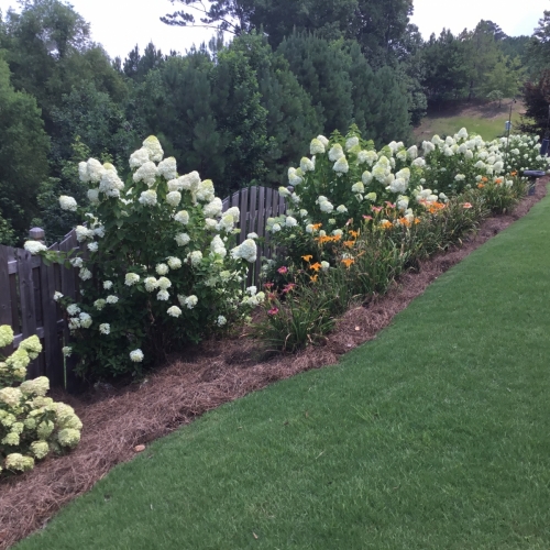 Shrub Bed Island 68