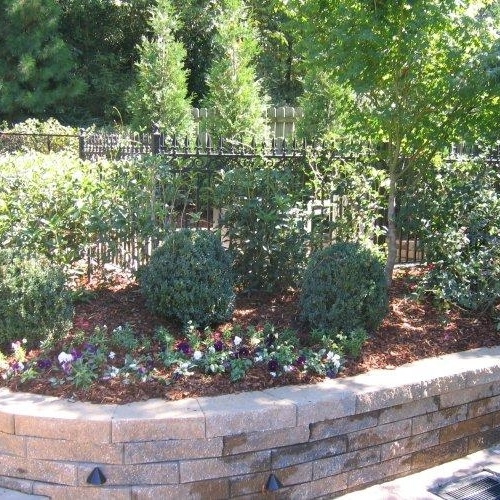 Shrub Bed 1