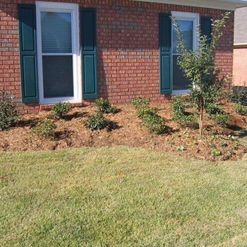 Shrub Bed 10