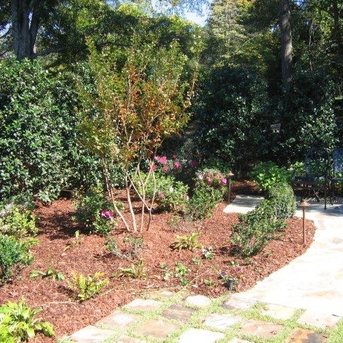 Shrub Bed 17