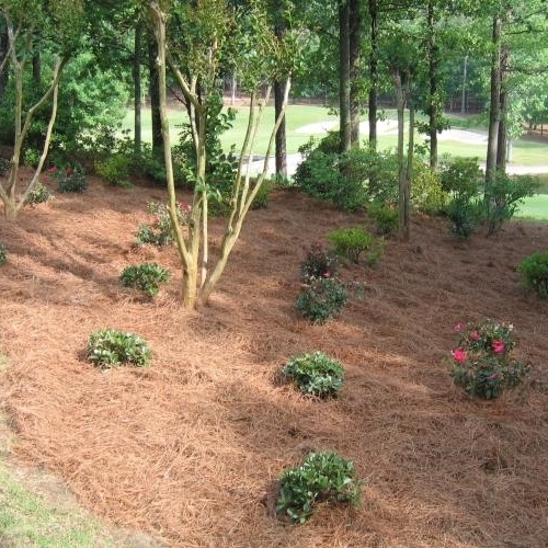 Shrub Bed 26