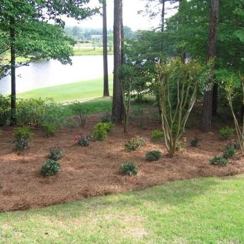 Shrub Bed 27