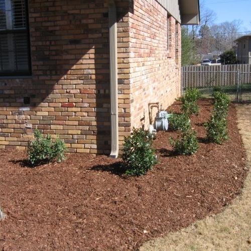 Shrub Bed 28