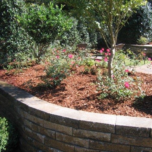 Shrub Bed 3