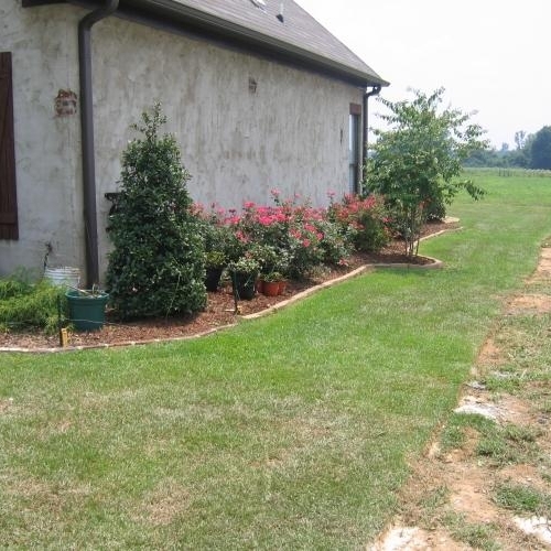 Shrub Bed 30