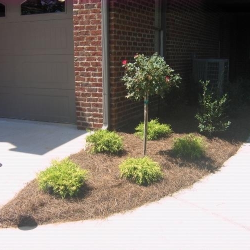 Shrub Bed 35