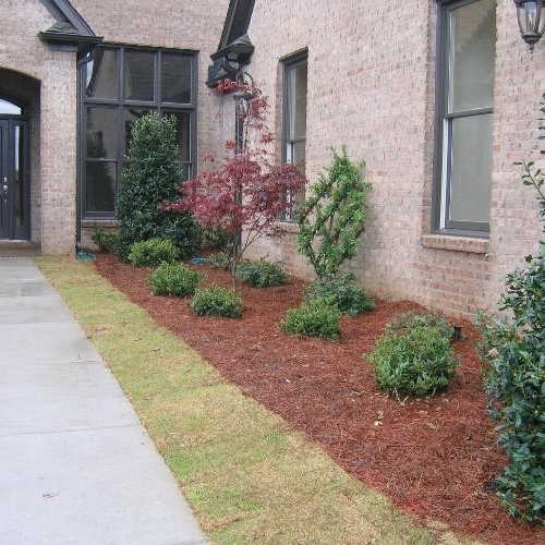 Shrub Bed 37