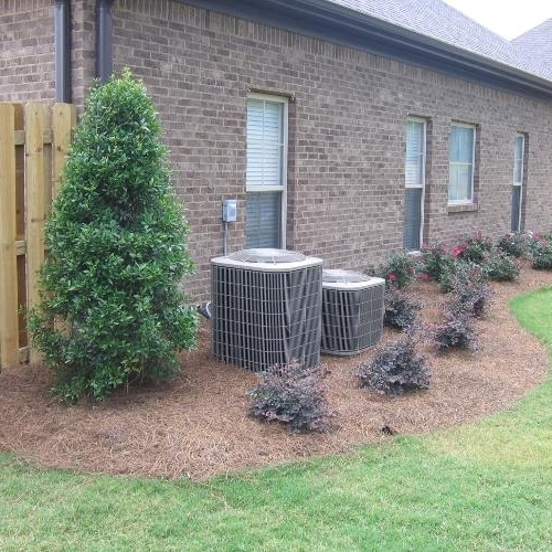 Shrub Bed 41