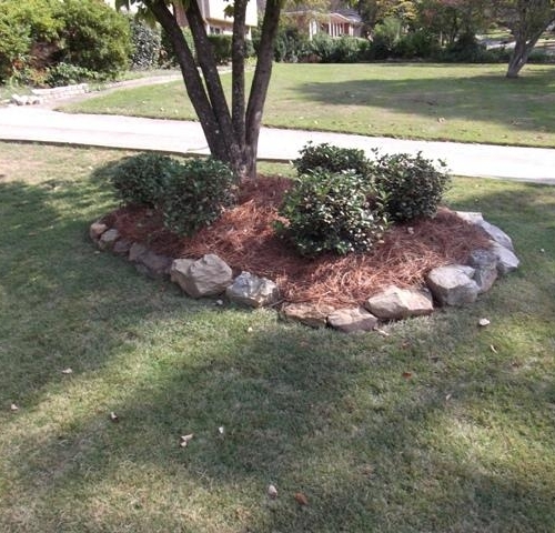 Shrub Bed 47