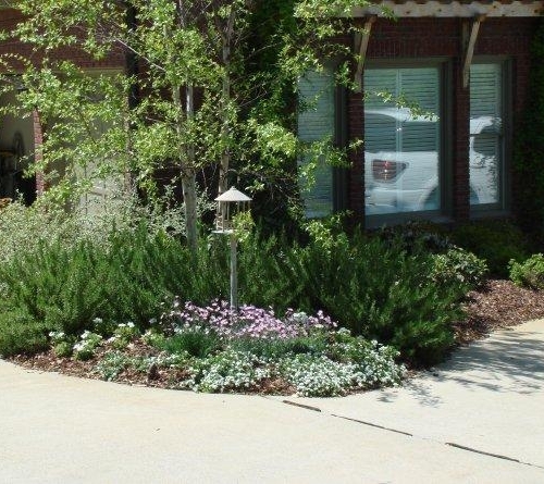 Shrub Bed 5