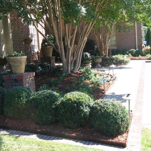 Shrub Bed 6