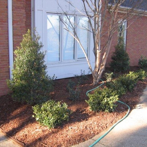 Shrub Bed 9