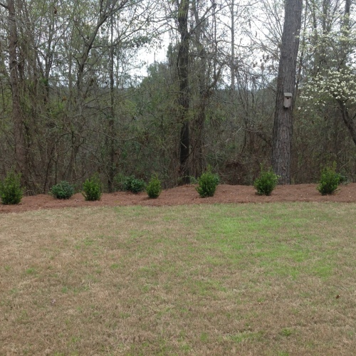 Shrub-Beds-103