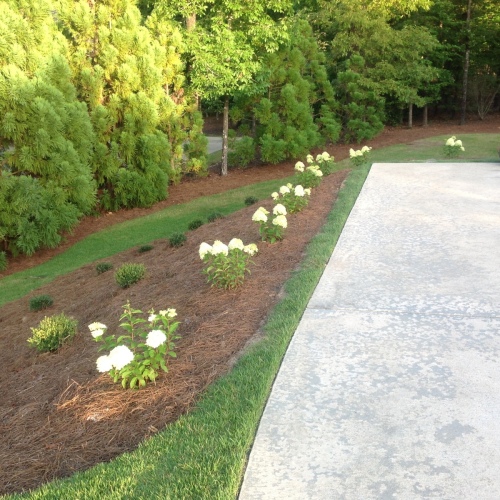 Shrub-Beds-104