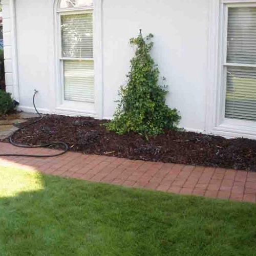 Shrub Beds 51