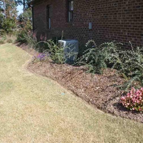 Shrub Beds 57