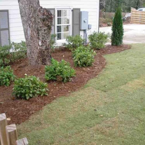 Shrub Beds 69